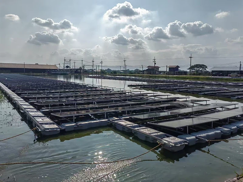 সৌর ভাসমান খামার